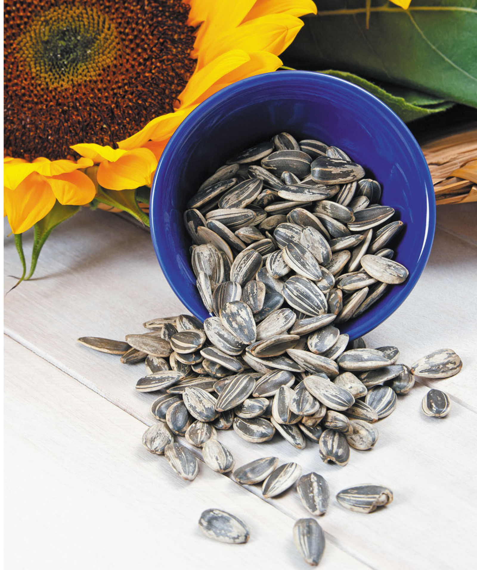 Sunflower Seeds