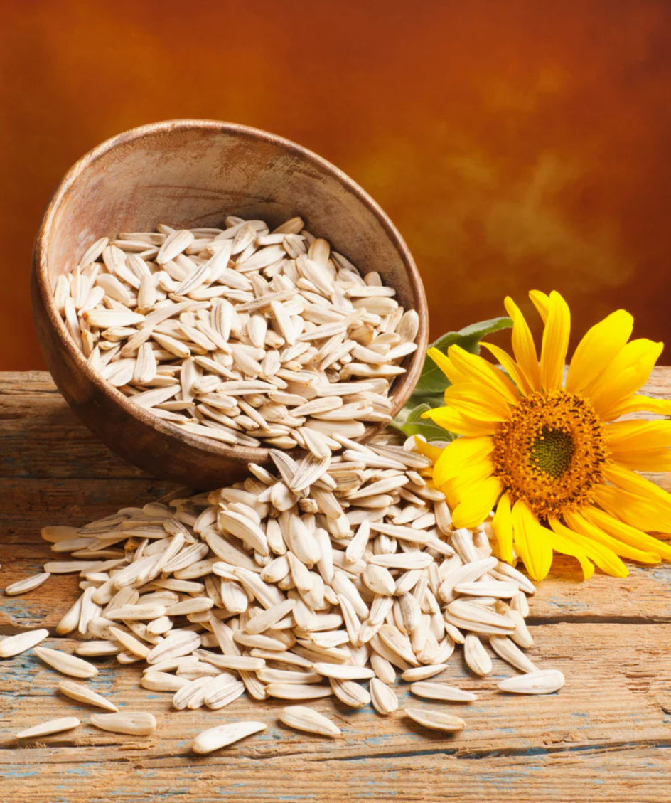 Sunflower Seeds